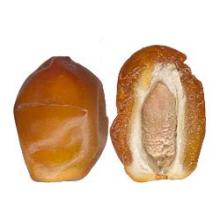 zahedi dates