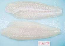 pangasius welltrimmed