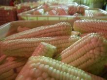 white whole sweet maize