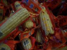 boiled  white  sweet  maize 
