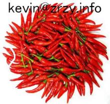 red chilli stem(chaotian chilli)