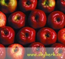 apple extract