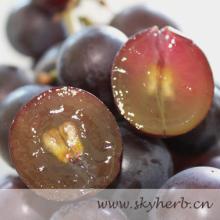 grape seed extract