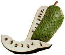 Soursop Puree