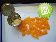 Mandarin Oranges Peeled Whole Segments