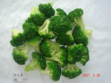  Organic  Frozen  broccoli   IQF 