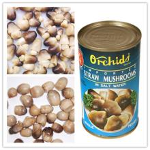 Canned Straw Mushroom Whole
