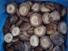 mushroom
