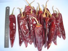  Jinta   chili 