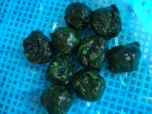 IQF spinach balls