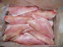  Red   Fish  Fillet