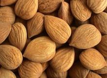 Apricot kernels