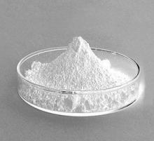 stevia powder