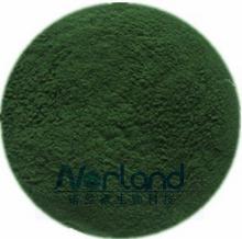 Spirulina Powder