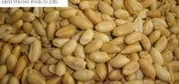 roasted and  salted   peanut   kernel s