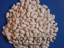 Kyrgyz White Kidney Beans