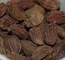 Big Cardamom