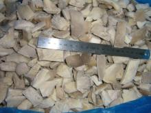 IQF Frozen oyster mushroom