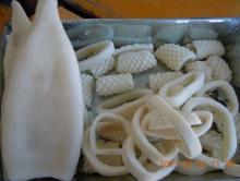 IQF squid tube, squid ring, squid fillet, squid flower