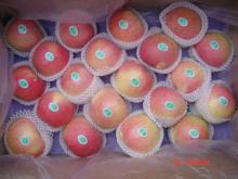 Delicious Fuji Apple