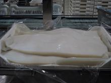 FROZEN  FILLET   GIANT   SQUID 