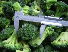 New Corp Frozen Broccoli