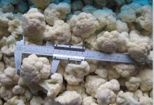 2012 new season Quick Frozen Cauliflower