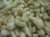 15g up iqf ginger