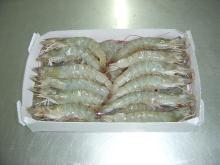 Vannamei Shrimps