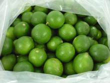 FRESH LEMON