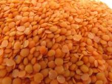 RED LENTILS