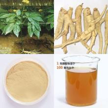 Panax Ginseng Root Extract