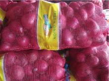 2012 New Corp Fresh Red Onion