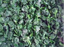 frozen Spinach leaves