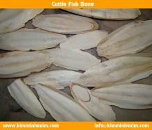Cuttlefish bone offer