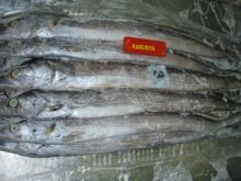 Ribbonfish grade A