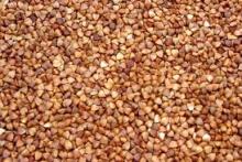  ROASTED   BUCKWHEAT   KERNELS 