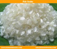 fish scales