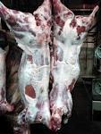  Lamb   Carcass 