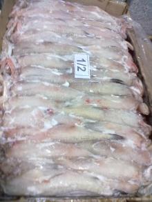 FROZEN  BOMBAY   DUCK 