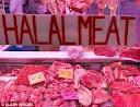  frozen   halal   beef   meat 