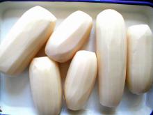 FROZEN LOTUS ROOTS 2