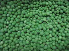 IQF Frozen green peas