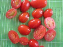 IQF Frozen half cut  tomoto 