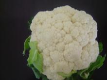 IQF Frozen cauliflower(2)
