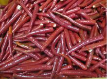 supply frozen chilli