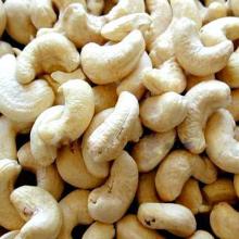 ROASTED SALTED CASHEW NUTS