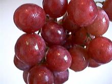  Resveratrol - Grape  Skin  Extract 