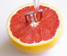  grapefruit   seed  extract