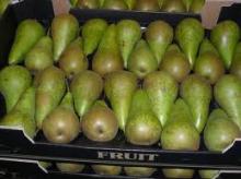Fresh Ya Pear high quality 2011